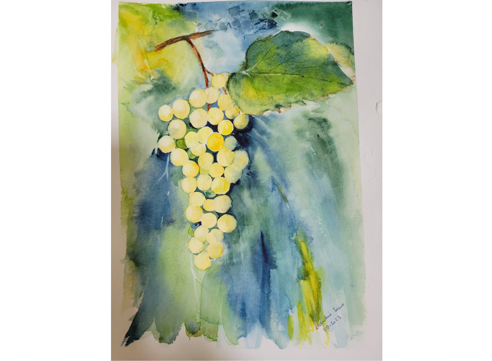 raisin nature morte